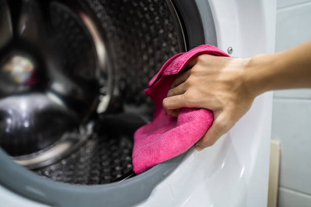 Best Mold Damage Restoration  in Sunnyslope, WA