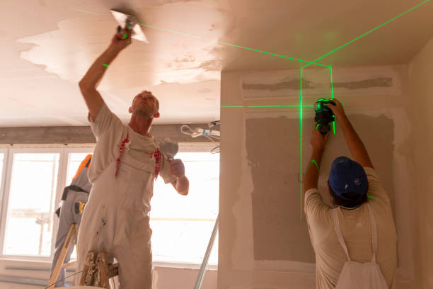 Forensic Mold Investigation in Sunnyslope, WA