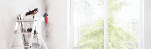 Best Indoor Air Quality Assessment  in Sunnyslope, WA